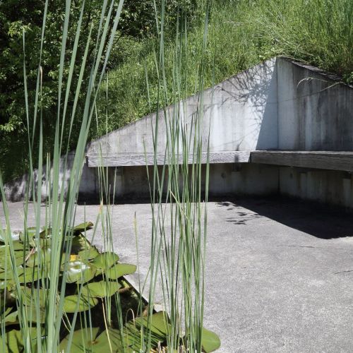 Vorschaubild: Garten Haus Schütz, Luzern