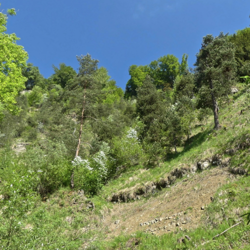 Vorschaubild: Schulanlage Höckler, Zürich - Wollishofen