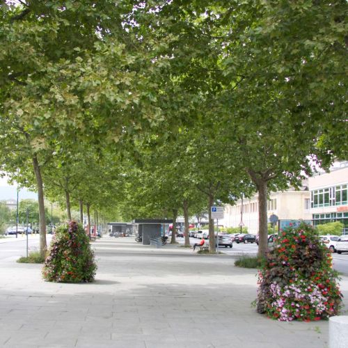 Vorschaubild: Aménagement de la place et de l'avenue de la gare, Yverdon